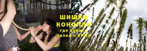индика Ачинск
